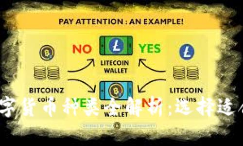 2023年加密数字货币种类全解析：选择适合你的投资道路