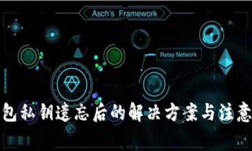 TP钱包私钥遗忘后的解决方案与注意事项