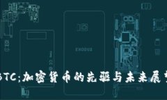 BTC：加密货币的先驱与未
