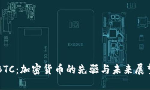 BTC：加密货币的先驱与未来展望