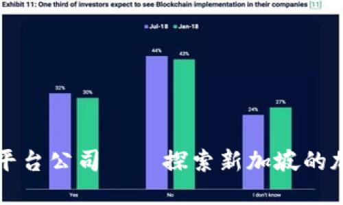 新加坡加密货币平台公司——探索新加坡的加密资产生态系统