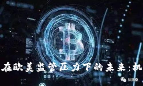 加密货币在欧美监管压力下的未来：机遇与挑战