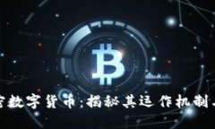 : 大网加密数字货币：揭秘