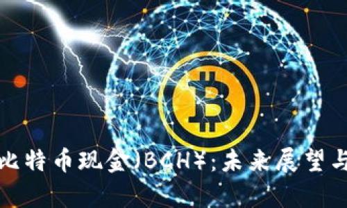 深入解析比特币现金（BCH）：未来展望与投资策略