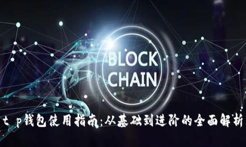 t p钱包使用指南：从基础到进阶的全面解析