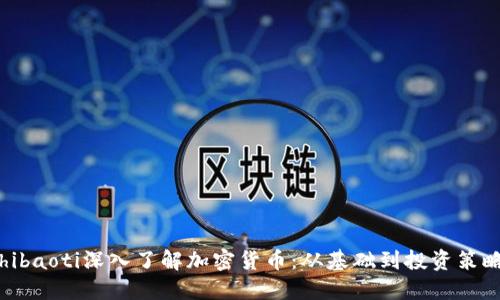 hibaoti深入了解加密货币：从基础到投资策略