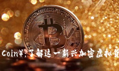  雷达币（Radar Coin）：了解这一新兴加密虚拟货币的特点与前景