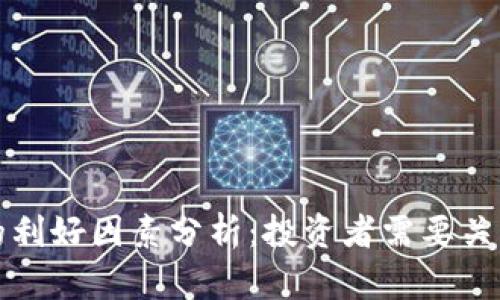 加密货币的利好因素分析：投资者需要关注的关键点