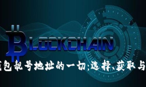 关于TP钱包靓号地址的一切：选择、获取与管理指南