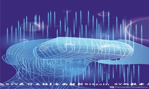 TP钱包BSV是什么链？全面解析Bitcoin SV的技术与应用