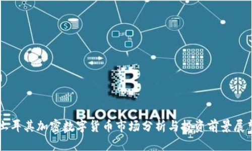 土耳其加密数字货币市场分析与投资前景展望