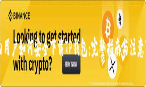 国内用户如何安全下载TP钱包：完整指南与注意事项