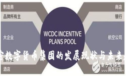 中国加密数字货币集团的发展现状与未来趋势分析