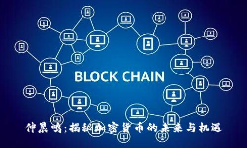 仲晨鸣：揭秘加密货币的未来与机遇