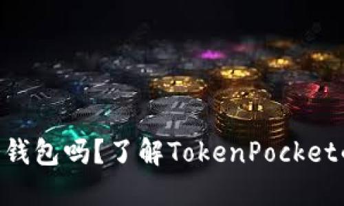 TokenPocket是冷钱包吗？了解TokenPocket的特点和使用场景