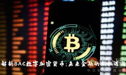 深度解析BAC数字加密货币：未来金融的新机遇与挑战