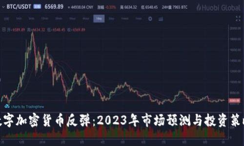 数字加密货币反弹：2023年市场预测与投资策略