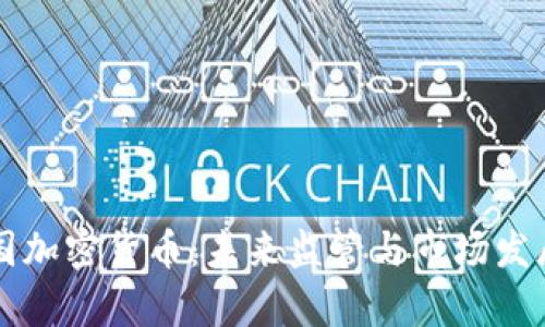 华盛顿与美国加密货币：未来监管与市场发展的深度解析