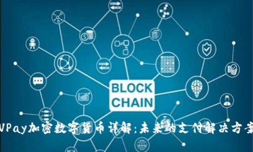 VPay加密数字货币详解：未来的支付解决方案